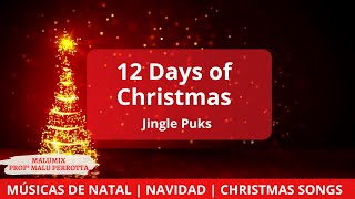 12 Days of Christmas Intrumental  Jingle Punks  Christmas songs Músicas de Natal [upl. by Shaer28]