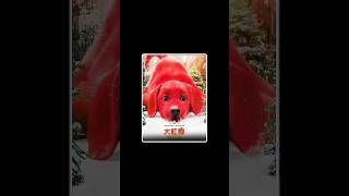 the big red dog full movie Explain in four part। reddog movie shorts [upl. by Danais950]