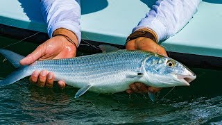 Bonefish Fly Fishing the Flats of Chub Cay Resort and Marina Bahamas [upl. by Legnaesoj801]