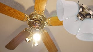 Westinghouse Lighting Led Ceiling Fan Light Kit Installation [upl. by Alegnaoj]