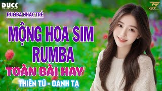 MỘNG HOA SIM THƯƠNG LY BIỆT  RUMBA NHẠC TRẺ THIÊN TÚ x OANH TẠ HAY NHẤT 2024 [upl. by Agretha]