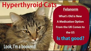 New Hyperthyroid Cat Medicine in the US Felanorm [upl. by Salome]