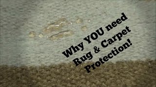 Carpet Cleaning Rochester NY  Carpet and Rug Protector demonstrated [upl. by Darlleen5]