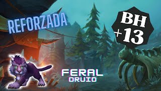 HONDONADA FRONDACUERO 13 ☣️ FERAL druid M 🐱 S4 WoW Dragonflight [upl. by Araid]