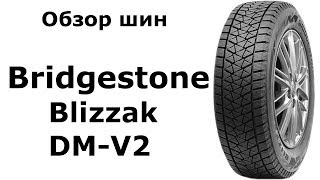 ❄ Bridgestone Blizzak DM V2  обзор зимних шин Замер ДЮРОМЕТРОМ 👍 [upl. by Terryn270]