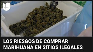 Posible mezcla con sustancias peligrosas entre los riesgos de la marihuana en dispensarios ilegales [upl. by Gilemette]