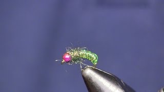 Bead Head Green Caddis Larva Holsingers Fly Shop [upl. by Jaban31]