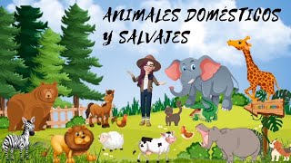 ANIMALES DOMESTICOS 🐶 y SALVAJES 🦒 para NIÑOS [upl. by Nicolais856]