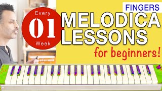 Melodica Lessons for Beginners 01 Fingers [upl. by Concha]