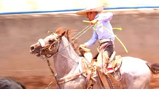 COLEADERO EN SAN ISIDRO DEL SALTO JEREZ ZACATECAS PARTE UNO [upl. by Scrogan]