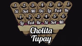 Tutorial y notas de zampoña Cholita  tupay [upl. by Bassett473]