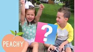 You Will Love These Funny and Adorable Reactions  Gender Reveal 2019 [upl. by Ancier410]