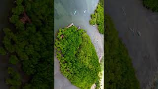 view Ekowisata Bale Mangrove part III videoshortsviral videodrone tempatwisata lombok ntb [upl. by Perloff304]