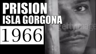 1966 PRISION ISLA GORGONA  DOCUMENTAL [upl. by Luahs]