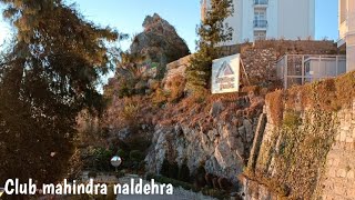 EP15  Club Mahindra Naldehra Tour  Best resort in Naldehra [upl. by Idaf]