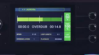 HeadRush Pedalboard Tutorials  Looper [upl. by Trubow179]