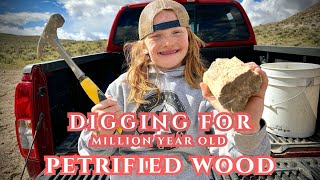 Digging for PETRIFIED WOOD Bruneau Woodpile Idaho [upl. by Kokaras]