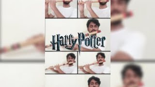 Harry Potter Theme  Hedwigs Theme  Flute Cover Acapella [upl. by Sapers]