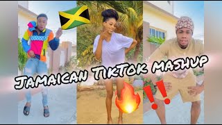 NEW JAMAICAN TIKTOK DANCE MASHUP 2024 [upl. by Katti]