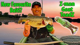 Zman Goat ToadZ Catches MONDO Bass [upl. by Nealah]