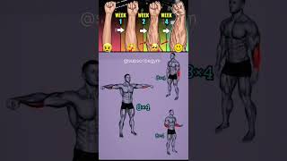 Forearms amp Bicep amp Tricep exercise At home 💪 gym homegym homeworkout subscribegym shorts [upl. by Phylys]