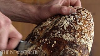 Baking bread at Tartine Bakery  Annals of Gastronomy  The New Yorker [upl. by Laris]