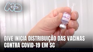 Covid19 Dive começa distribuição das vacinas recebidas pelo Ministério da Saúde [upl. by Aneeuq]