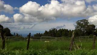 Makawao Upcountry Maui Hawaii [upl. by Ecirtap]