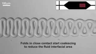 Capillary thread deformation in microfluidic channels [upl. by Samuelson]