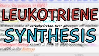 Biochemistry Help Leukotrienes synthesis [upl. by Yerrok492]