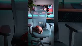 Melhor Cadeira Ergonômica para Setup Gamer [upl. by Taimi]