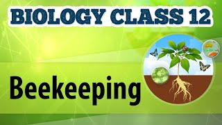 Beekeeping  Animal Husbandry  Biology Class 12 [upl. by Ynotna]