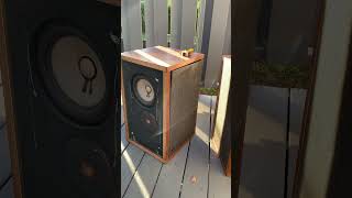 Nice EPI M202 loudspeakers ￼ these will be my next project speakers ￼ [upl. by Terese]