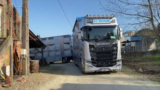 Essai camion Scania 730 S bétaillère Irma [upl. by Annibo]