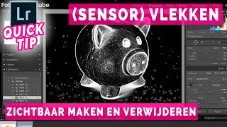 Sensor vlekken en stof zichtbaar maken en verwijderen  Lightroom Tutorial Nederlands [upl. by Heddy]