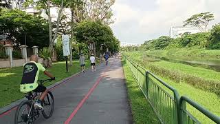 Ulu Pandan Park Connector  Sungei Ulu Pandan  Saturday  14 July 2024  Singapore  901am [upl. by Arriet]