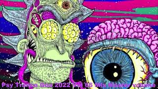 Psy Trance Goa 2022 Vol 66 Mix Master volume [upl. by Ellan]