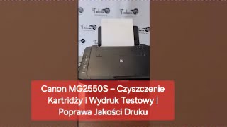 Canon MG2550S – Czyszczenie Kartridży i Wydruk Testowy  Poprawa Jakości Druku [upl. by Etsirk]