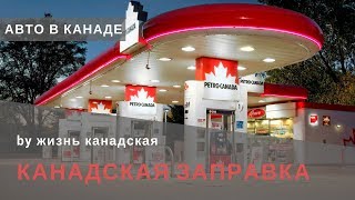 Сколько стоит бензин в Канаде  Канадская заправка  Авто в Канаде [upl. by Naasar]