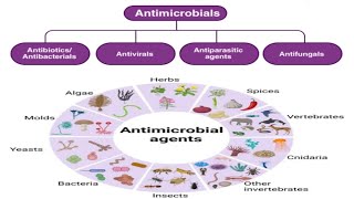 ANTIMICROBIAL AGENTGENERAL PHARMACOLOGYINTRODUCTIONPHARMACOLOGY REVISIONPHARMACYCLASSIFICATION [upl. by Portwine857]