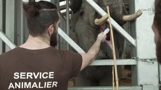 EureetLoir  La tanière au secours des animaux [upl. by Veleda]