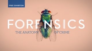 Forensics the anatomy of crime [upl. by Htiaf]