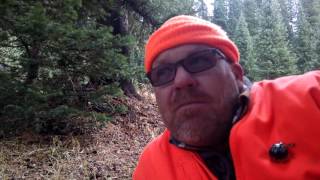 Lizardhead Wilderness  2nd Rifle Season Elk [upl. by Yrrep]