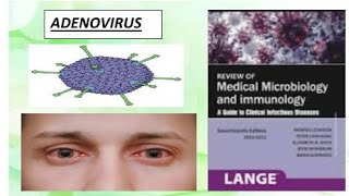 Microbiology  adenovirus microbiology adenovirus [upl. by Zoellick842]