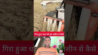 Gira hua dhaan ko kaise machine se cutting Kiya jata hai [upl. by Eartha]