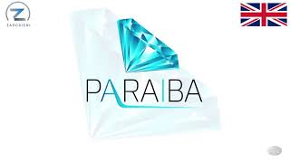 Paraiba World Presentation💎 REVIEW SCAM or LEGIT [upl. by Viola440]