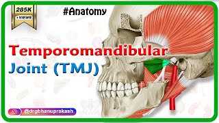 Anatomy of Temporomandibular joint  TMJ  Animation Gross Anatomy medical animations [upl. by Waverley]