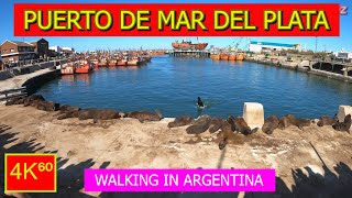 4K⁶⁰  👉 PUERTO DE MAR DEL PLATA ☀️  ARGENTINA  Walking tour  TRAVEL 🌟 [upl. by Fabozzi]