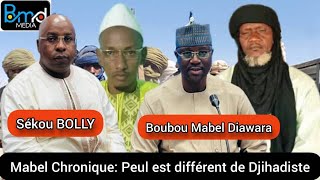 Mabel Chronique peul est différent de djihadiste [upl. by Orlov]