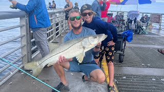 Big Snook on Light tackle vanstaal vr75 [upl. by Assil]